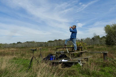 Birder on picnic table